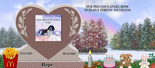 Hope's Rainbow Bridge Pet Loss Memorial Residency Image