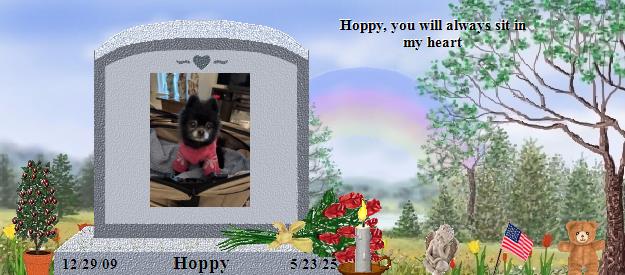 Hoppy's Rainbow Bridge Pet Loss Memorial Residency Image