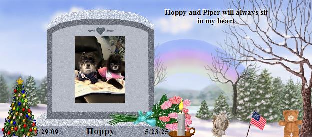 Hoppy's Rainbow Bridge Pet Loss Memorial Residency Image