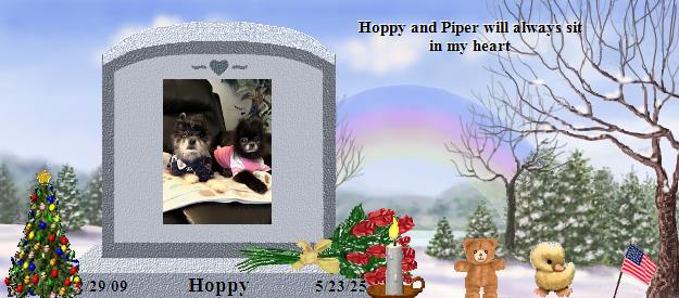 Hoppy's Rainbow Bridge Pet Loss Memorial Residency Image