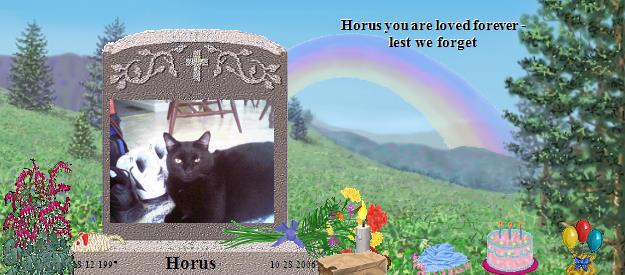 Horus's Rainbow Bridge Pet Loss Memorial Residency Image