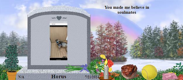 Horus's Rainbow Bridge Pet Loss Memorial Residency Image