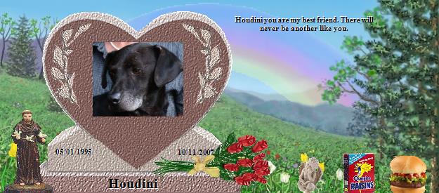 Houdini's Rainbow Bridge Pet Loss Memorial Residency Image