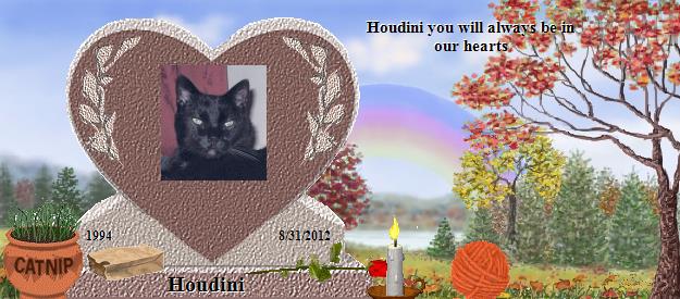 Houdini's Rainbow Bridge Pet Loss Memorial Residency Image