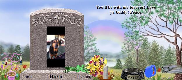 Hoya's Rainbow Bridge Pet Loss Memorial Residency Image