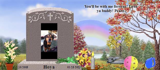 Hoya's Rainbow Bridge Pet Loss Memorial Residency Image