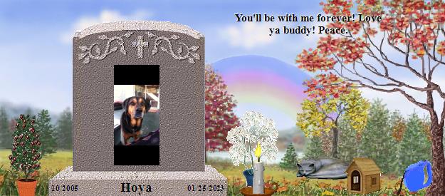 Hoya's Rainbow Bridge Pet Loss Memorial Residency Image