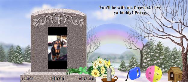Hoya's Rainbow Bridge Pet Loss Memorial Residency Image