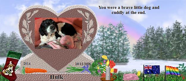 Hulk's Rainbow Bridge Pet Loss Memorial Residency Image