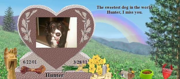 Hunter's Rainbow Bridge Pet Loss Memorial Residency Image