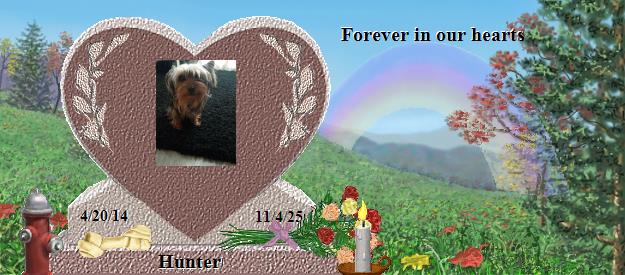 Hunter's Rainbow Bridge Pet Loss Memorial Residency Image