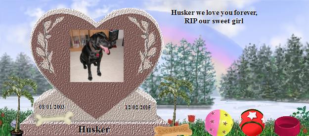 Husker's Rainbow Bridge Pet Loss Memorial Residency Image