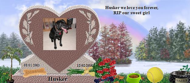 Husker's Rainbow Bridge Pet Loss Memorial Residency Image