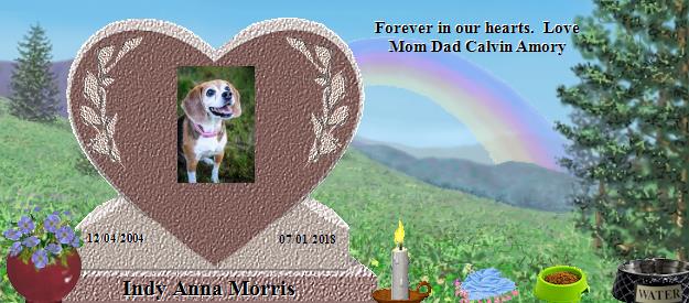 Indy Anna Morris's Rainbow Bridge Pet Loss Memorial Residency Image