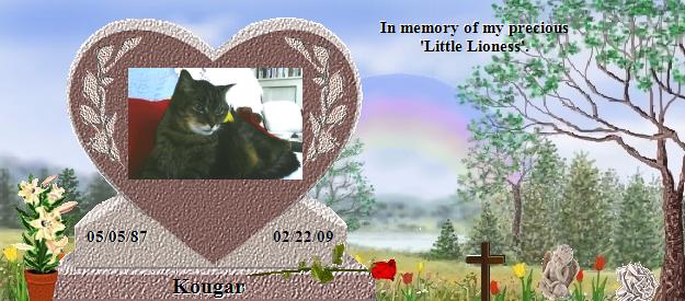 Kougar's Rainbow Bridge Pet Loss Memorial Residency Image