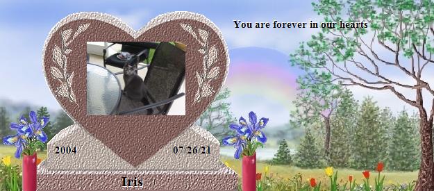 Iris's Rainbow Bridge Pet Loss Memorial Residency Image