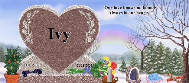 Ivy's Rainbow Bridge Pet Loss Memorial Residency Image