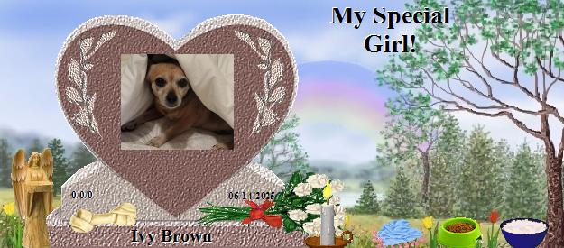 Ivy Brown's Rainbow Bridge Pet Loss Memorial Residency Image