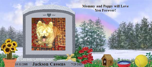 Jackson Cassens's Rainbow Bridge Pet Loss Memorial Residency Image