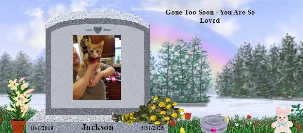 Jackson's Rainbow Bridge Pet Loss Memorial Residency Image
