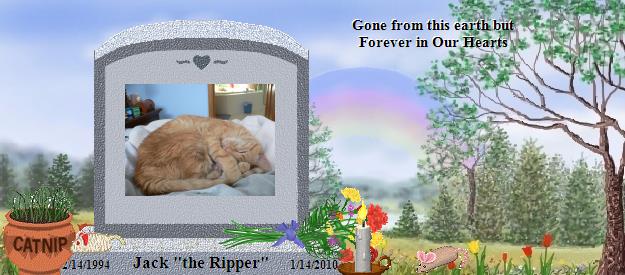 Jack "the Ripper"'s Rainbow Bridge Pet Loss Memorial Residency Image