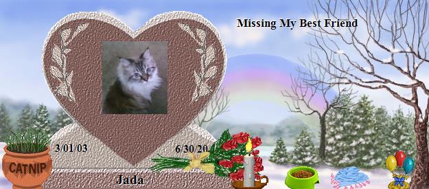 Jada's Rainbow Bridge Pet Loss Memorial Residency Image