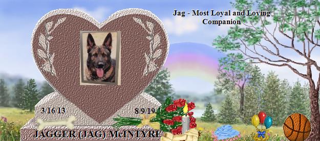 JAGGER (JAG) McINTYRE's Rainbow Bridge Pet Loss Memorial Residency Image