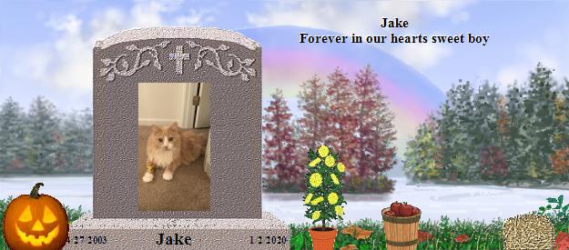 Jake's Rainbow Bridge Pet Loss Memorial Residency Image