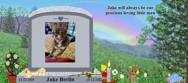 Jake Berlin's Rainbow Bridge Pet Loss Memorial Residency Image