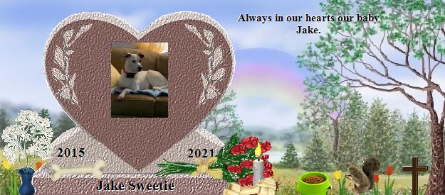 Jake Sweetie's Rainbow Bridge Pet Loss Memorial Residency Image