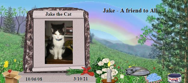 Jake the Cat's Rainbow Bridge Pet Loss Memorial Residency Image