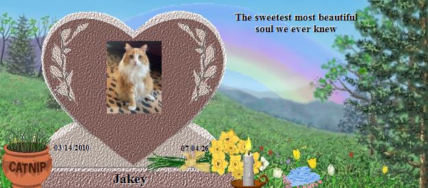 Jakey's Rainbow Bridge Pet Loss Memorial Residency Image