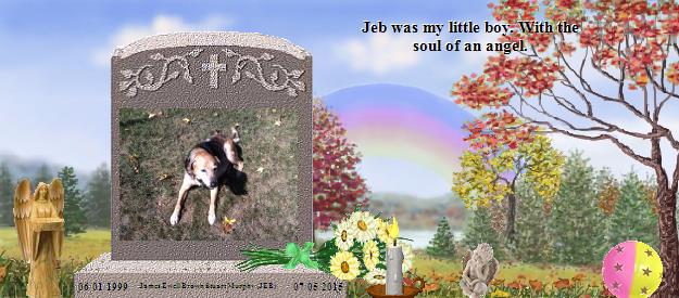 James Ewell Brown Stuart Murphy (JEB)'s Rainbow Bridge Pet Loss Memorial Residency Image