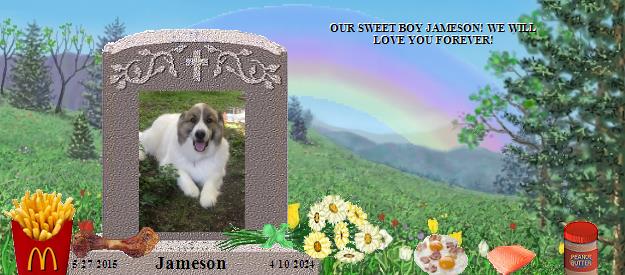 Jameson's Rainbow Bridge Pet Loss Memorial Residency Image