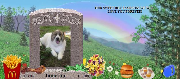 Jameson's Rainbow Bridge Pet Loss Memorial Residency Image