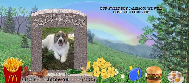 Jameson's Rainbow Bridge Pet Loss Memorial Residency Image