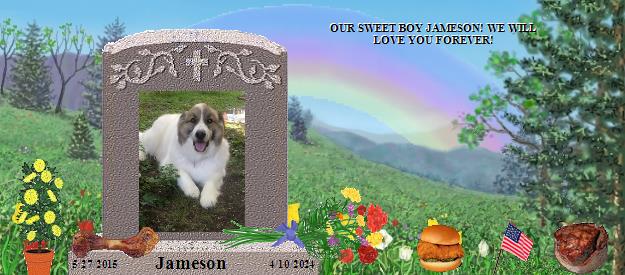 Jameson's Rainbow Bridge Pet Loss Memorial Residency Image