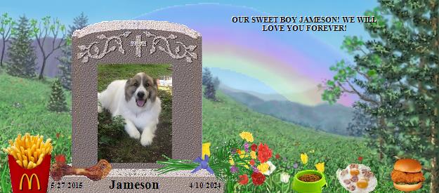 Jameson's Rainbow Bridge Pet Loss Memorial Residency Image