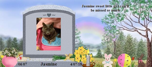 Jasmine's Rainbow Bridge Pet Loss Memorial Residency Image