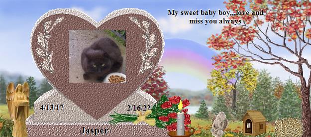 Jasper's Rainbow Bridge Pet Loss Memorial Residency Image