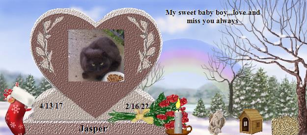 Jasper's Rainbow Bridge Pet Loss Memorial Residency Image