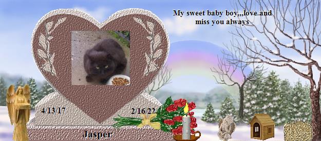 Jasper's Rainbow Bridge Pet Loss Memorial Residency Image