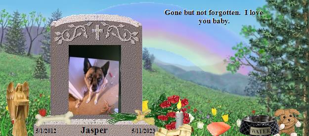 Jasper's Rainbow Bridge Pet Loss Memorial Residency Image