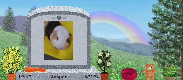 Jasper's Rainbow Bridge Pet Loss Memorial Residency Image