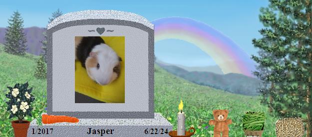 Jasper's Rainbow Bridge Pet Loss Memorial Residency Image