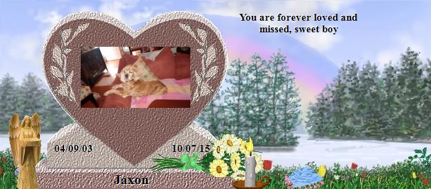 Jaxon's Rainbow Bridge Pet Loss Memorial Residency Image