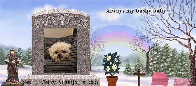 Jerry Arguijo's Rainbow Bridge Pet Loss Memorial Residency Image