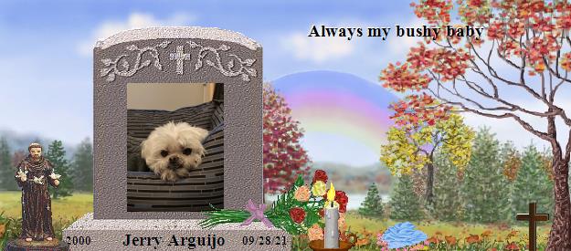 Jerry Arguijo's Rainbow Bridge Pet Loss Memorial Residency Image