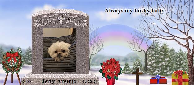 Jerry Arguijo's Rainbow Bridge Pet Loss Memorial Residency Image