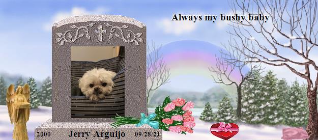 Jerry Arguijo's Rainbow Bridge Pet Loss Memorial Residency Image
